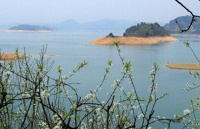 五十岁后，人生再顺利，也别忘了刘伯温的4句话，避免晚景凄凉