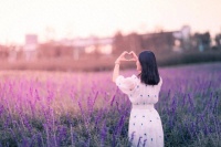 感恩的力量（深度好文）