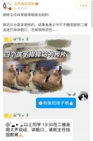 今日最佳：禁止抢答。