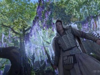 遥映朱颜，玉骨翩翩，武戏之妙，超然物外感受的余韵，如醉如痴