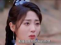 解析白菜与阿狗之间的深厚情感，才领悟到她杀死伍庚的原因！