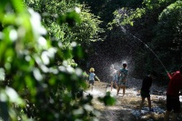 夏至！蝉蛙鸣，启盛夏