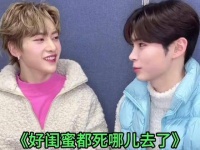 何处能寻得像修修欧巴这般出色的伴侣呢？ 成韩彬 活跃气氛