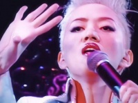 漫长旅途忆梅艳芳，时光匆匆如梦回， 曲中尽显英杰魂，舞台上的女王…