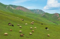 书中自有清凉地，夏至请收下这份“夏日书单”