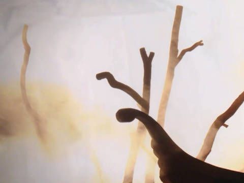 陈丽君《东风破》单人cut 我宣布这是浪姐本季最佳舞台!