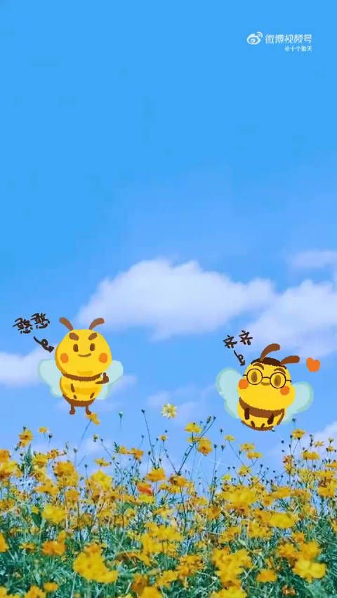 蜂蜜舞甜蜜来袭!