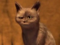 影视圈内热议不断，透露的制作投入达到了惊人的2亿巨资