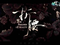 我的腰部需要宋祖儿 的关注与治疗