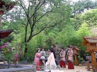 必追剧目 共享观剧时刻