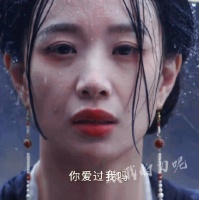 薛芳菲X婉宁长公主