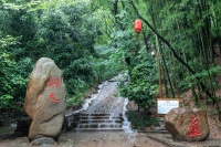 雨后苏州穹窿山，云蒸雾罩如仙境，树木苍翠欲滴，偷得浮生半日闲