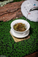 盖碗泡茶要怎么做才不会手抖？