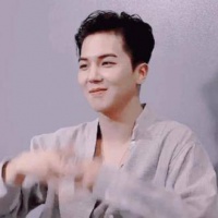 描述一下象征胜利的手势吧