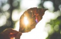 【古诗词鉴赏】唐代诗人李白《客中行》诗赏析