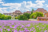 思“变”求新，“变”中求进