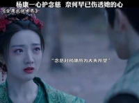 念慈期望能让他舍弃名利的追逐，无奈杨康的本质始终如一