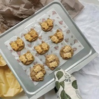 进医院和做科研，如何选择？