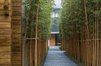 散文｜常想一二