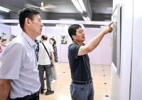 发现光影魅力，新洲区这场摄影艺术分享活动好热闹