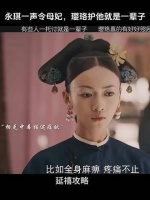 踏入宫廷纷争，一探中的机智魏璎珞