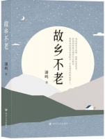 月光的抬头纹——读潘鸣散文集《故乡不老》