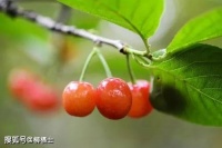 【荐读】余生，去靠近拥有正向力的人