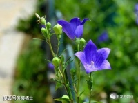 【荐读】好好生活，好好爱自己