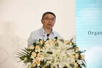 “致敬在大时代的云层下勇毅前行的小人物”，《云落》海外版权推介会举办