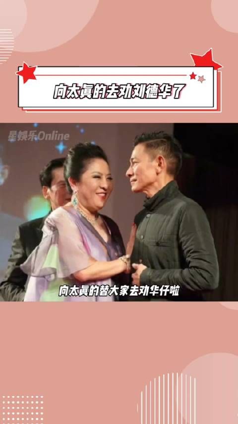 向太真的去劝刘德华了!天王嫂朱丽倩也在上海陪着,私下还叫华仔“牛”哈哈哈