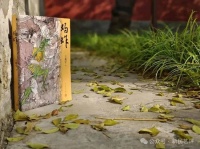 新民艺评丨李泓冰：显微镜下的“蚂蚱”史诗——读王兆军长篇小说《蚂蚱》