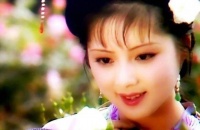 说红楼：贾宝玉说丰满的宝钗像“杨贵妃”，宝钗为何大怒？