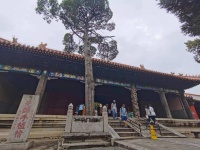 问道诸子｜在孔子故里感受文化的力量