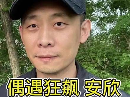 实力演绎,角色深入人心,从看来更是精彩