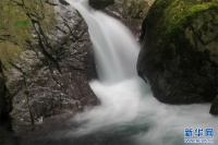 从涓涓细流到滚滚洪流，你的逃生时间只有几十秒