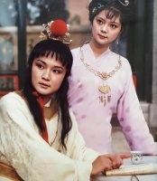 《红楼梦》里，与其说薛宝钗爱贾宝玉，不如说爱的是贾府的继承人