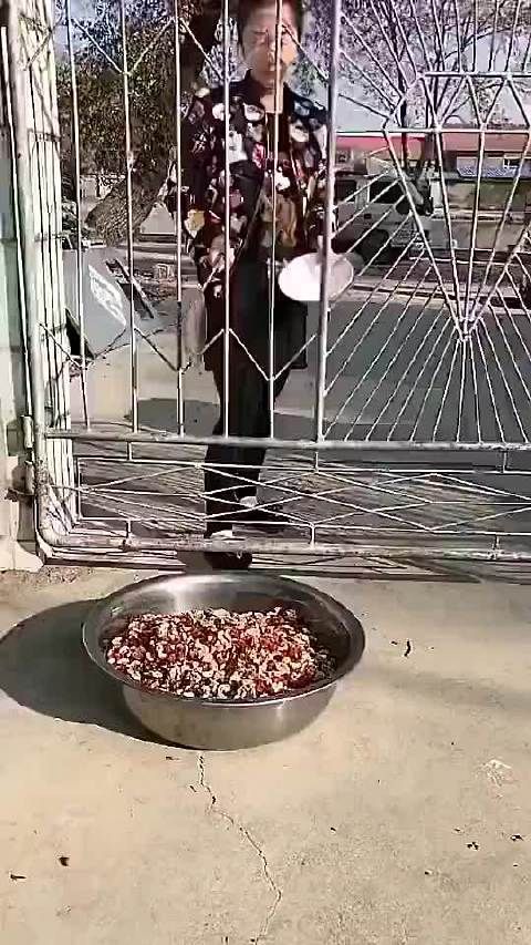 请问怎么样才可以在不倒掉的情况下把碗端出来?