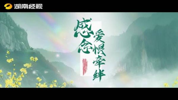 这个夏天 你期待和谁再相遇?