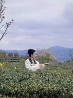 薇娅谈非遗传承：传统手艺是内核，平台创新、活态传承是翅膀