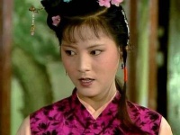 《红楼梦》：曹公骂人幽默又风趣，背主求荣的袭人就是最好的例子