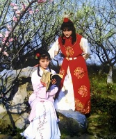 红楼梦：繁华背后的人生百态