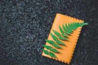 《故事咖啡馆》：人要活在当下