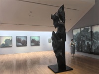 苏州博物馆举办“清光不辨——王绍强作品展”