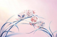 非遗苏绣入妆 花西子发布刺绣限定系列