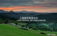 上海城市商演出访：魅力全媒社的独特视角