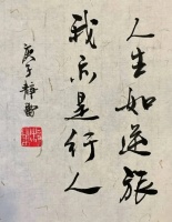 才女徐静蕾的书法到底算是一个什么样的水平？