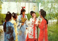 红楼梦：贾政为何不喜欢袭人的名字？