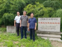 艺术 | 世界旅游联盟主席张旭考察“大吉碑”及绍兴书法