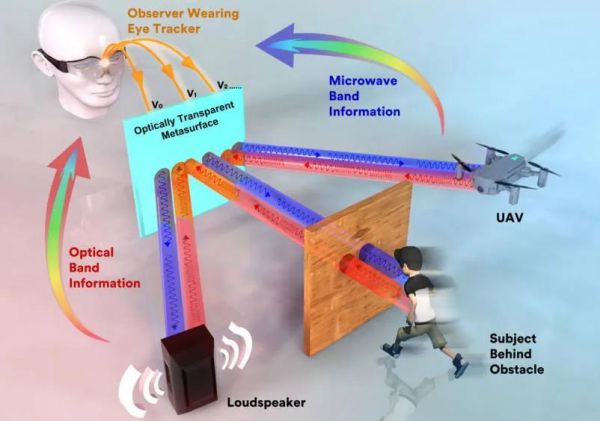 我国首个超表面生物雷达“透视眼镜”系统框图。图源：科技日报微信