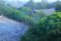 中道诗里家风长